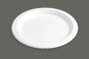 10 Inch Round Bagasse Plate