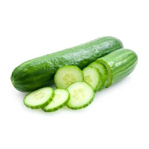 Fresh English Cucumber