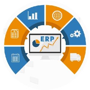Consultancy ERP Software