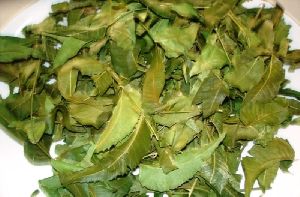 Neem Leaves(Azadirachta indica)