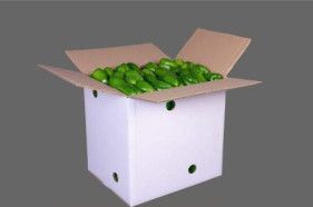 vegetable box