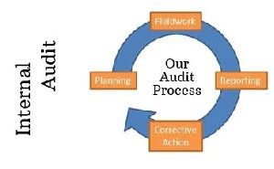 Chemical Manufacturing Process Audit