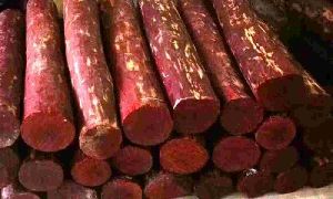 red sandle wood