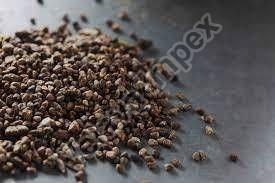 cardamom seeds