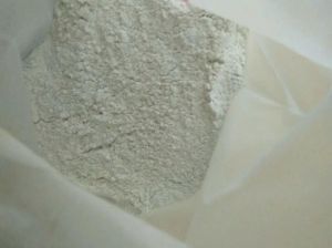 Bacillus Subtilis Talc Based Biocontrol Agent