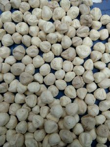 drumstick kernel seeds