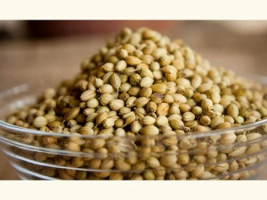 coriander seeds