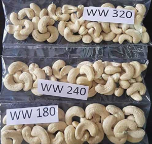 processed cashew nut
