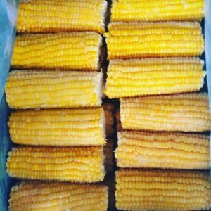 Frozen Corn On Cob