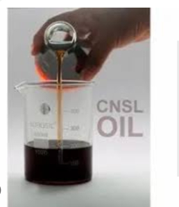 cnsl oil