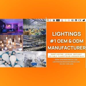 Lighting Products