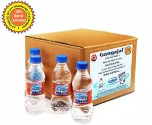 Pure Gangajal Water 250 ML