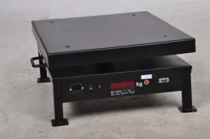 Accurate Mild Steel,SS Platform Electronic Weighing Scale, Size: 400x400mm,  Capacity: 50/100 Kg