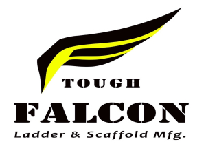 falcon logo designing services
