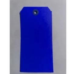 Blue Paper Tag