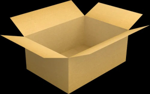 mono carton box
