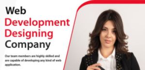 High-quality Website Web Designing Service