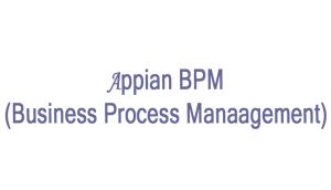 Appian BPM Online Training  In India