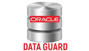 Best Data Guard Training from Hyderabad