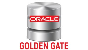 Oracle Golden Gate Online Training by Real-time Trainer in India