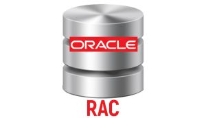 Oracle RAC Course Online Training Classes from India