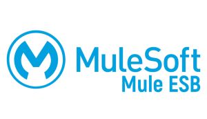 MuleSoft Training from Hyderabad