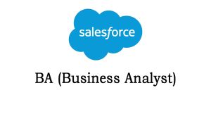 Salesforce BA Online Training from India