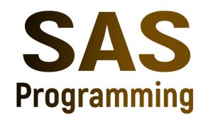 SAS Online Training from India
