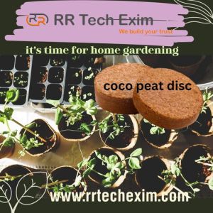 coco pith disc