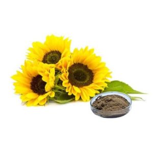 Sunflower Extract Powder