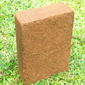 coco peat 5kg blocks