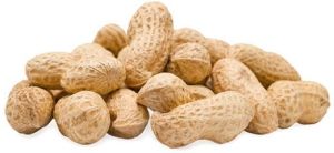 raw peanut