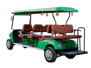8 Seater Golf Cart Rental Services