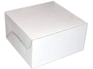 Plain White Cake Box