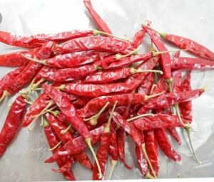 With Stem Dry Red Chillies