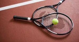 Fox Tennis Racket