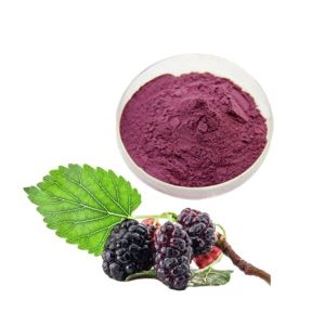 Spray Dried Mulberry Powder