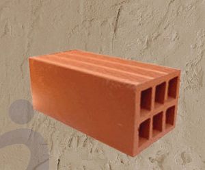 CM302 Hollow Clay Bricks