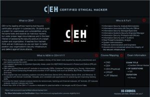 ethical hacking cyber security service