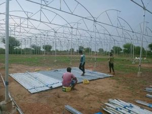 Greenhouses Construction Services