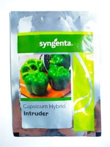 Hybrid Capsicum Seeds