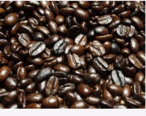 robusta coffee