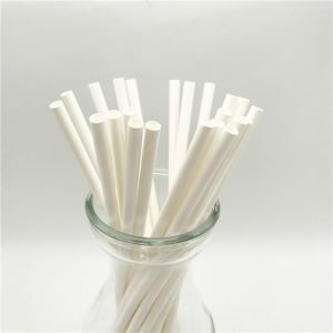 White Round Plain Paper Straw, for Event Party Supplies, Length : 8, 10  Inches at Rs 0.24 / piece in Ghaziabad
