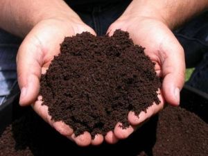 Organic Manure