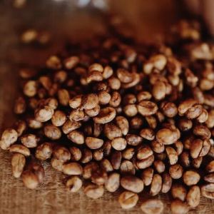 Honey Sun Dried Fermented Coffee