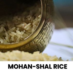 Mohanshal Parboiled Rice