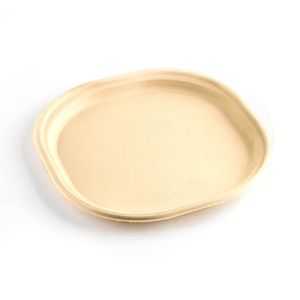 7 Inch Sugarcane Bagasse Disposable Plate