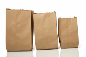 Brown Paper Pouch