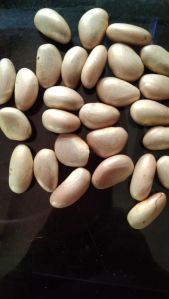 jackfruit seeds
