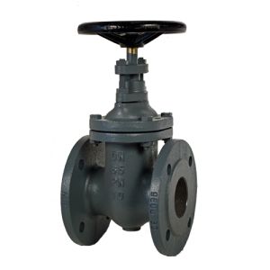 Cast Iron Gate Valve